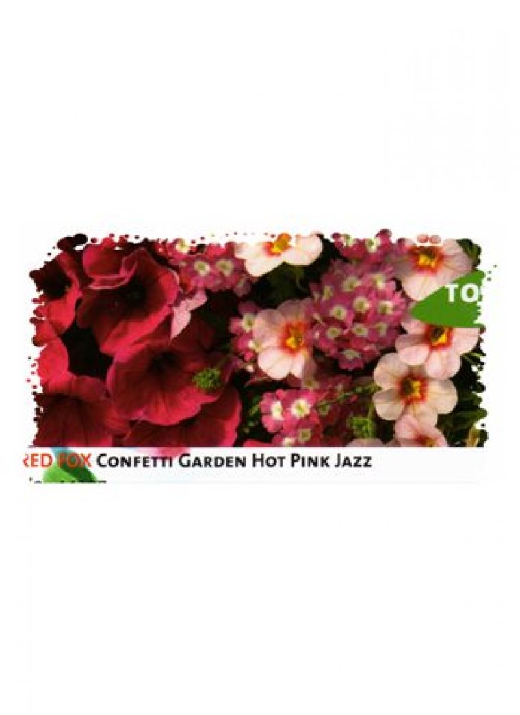 Confetti Garden Trio Pink Jazz